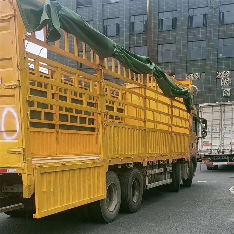 大柴旦吉安市物流：多元服务与高效运输线路探秘