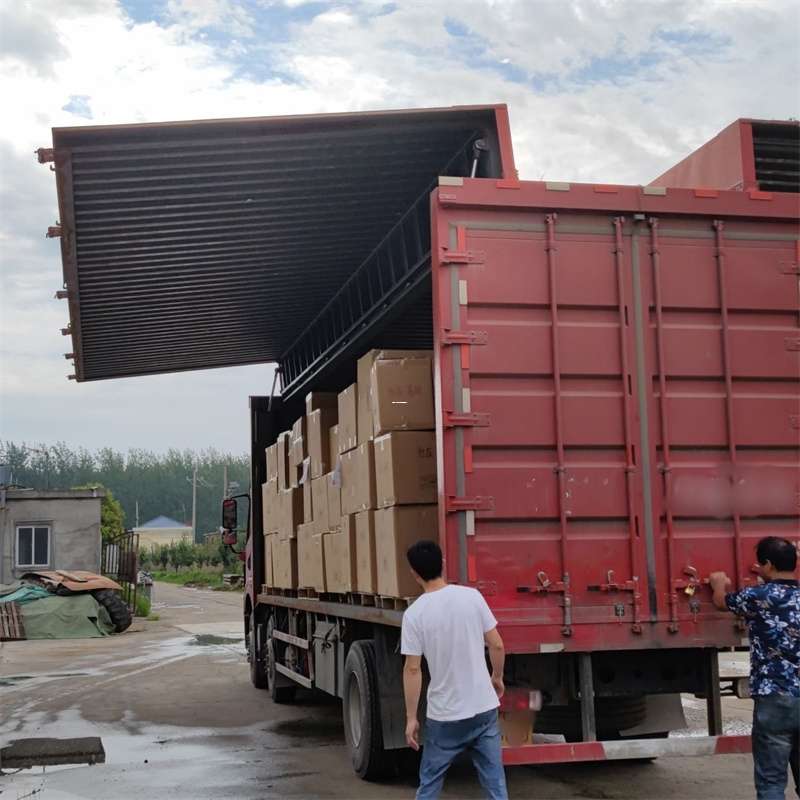 大柴旦扎囊县：物流专线的高效货运之旅